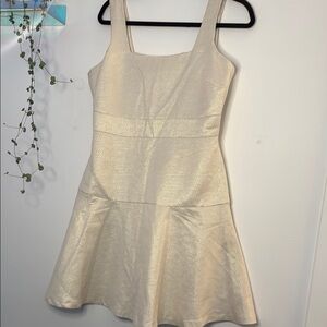 Covington nwt shimmery cocktail dress
